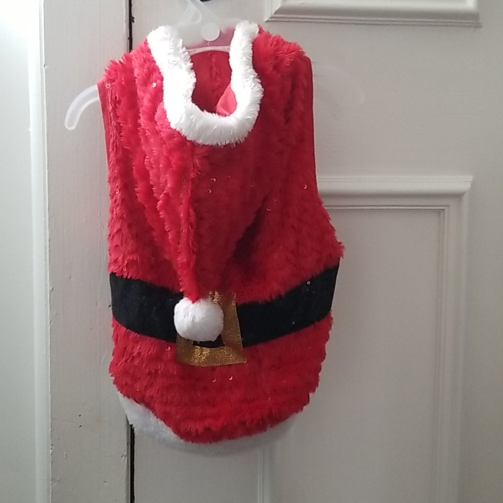 Dog santa outfit